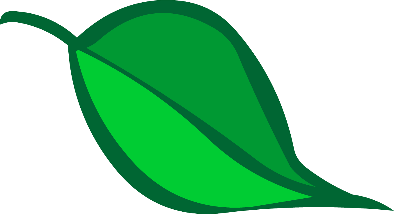 Hoja Png - Png De Una Hoja (1354x737)
