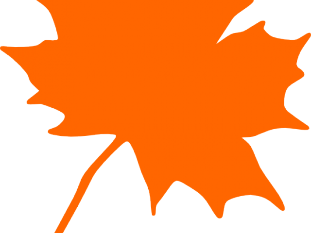 Maple Leaf Clipart Cartoon - Canada Maple Leaf Clip Art (640x480)