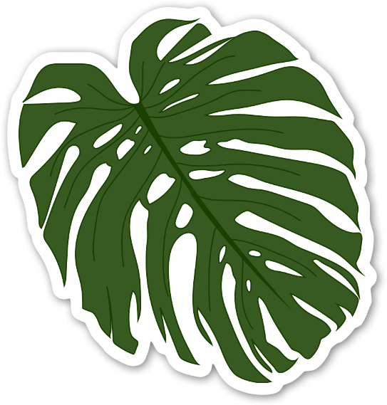 Palm Leaf Sticker - Hojas De Palmera Png (543x569)