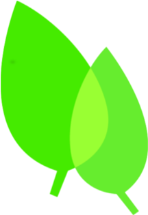 Hoja Png - Hoja Png (308x601)