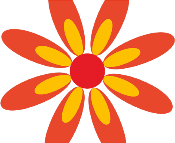 Orange Flower Clipart Five Flower - Orange Flower Clipart Five Flower (640x480)
