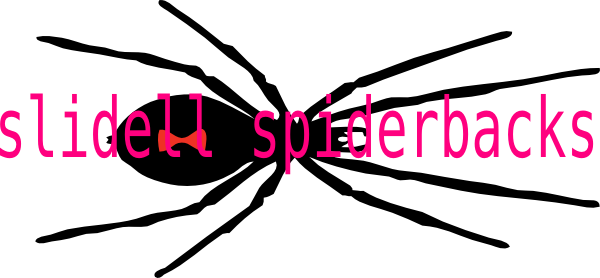 Black Widow Spider (600x278)