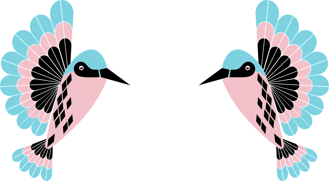 Hummingbird Birdie Birds - Hummingbird (1280x704)