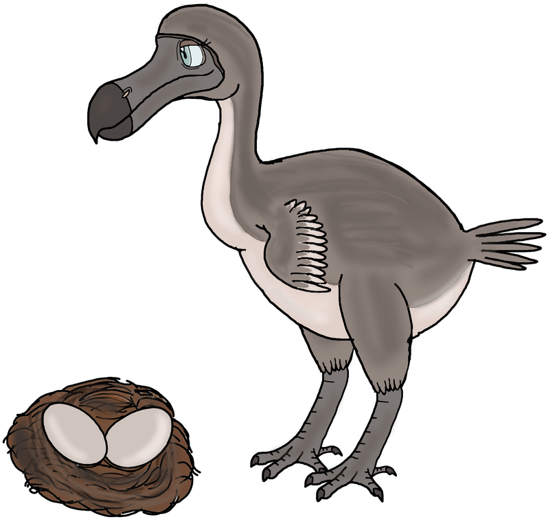 Dodo And Her Eggs By Bio675 - Illustration (882x906)