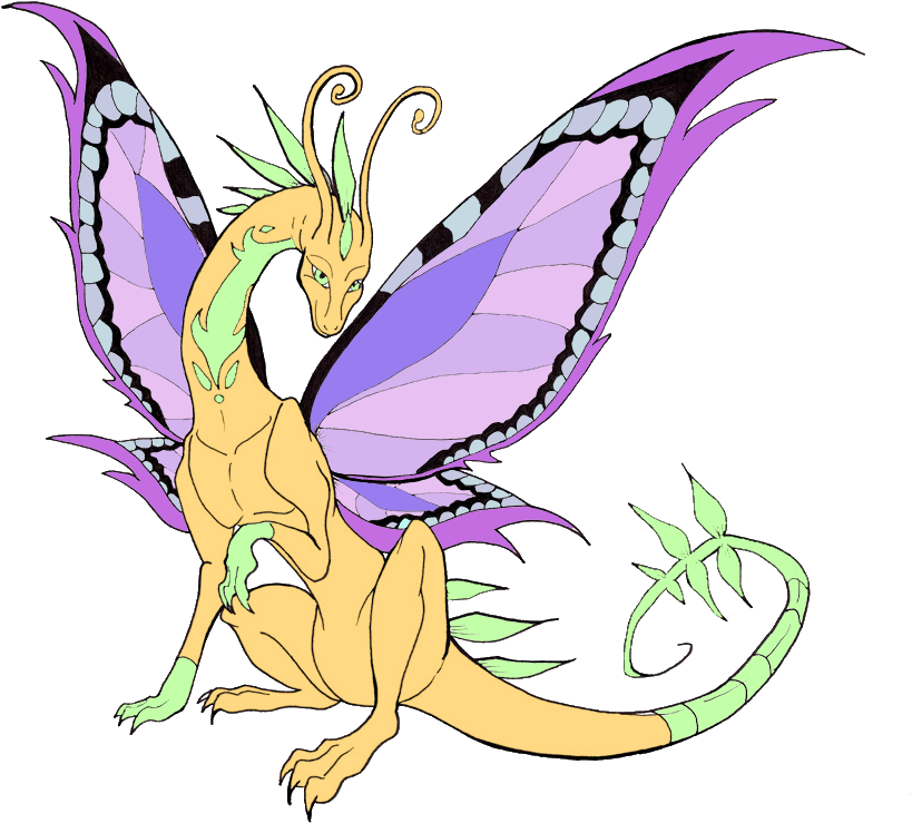 Butterfly Dragon Lineart By Ember Eyes B - Dragon Line Art (900x763)