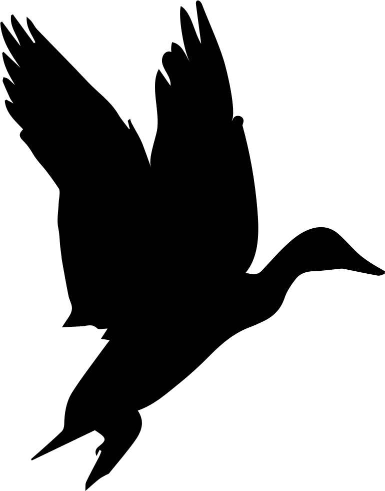 Transparent Stock Waterfowl Shape Svg Png Icon Free - Black Birds Gif No Background (770x981)