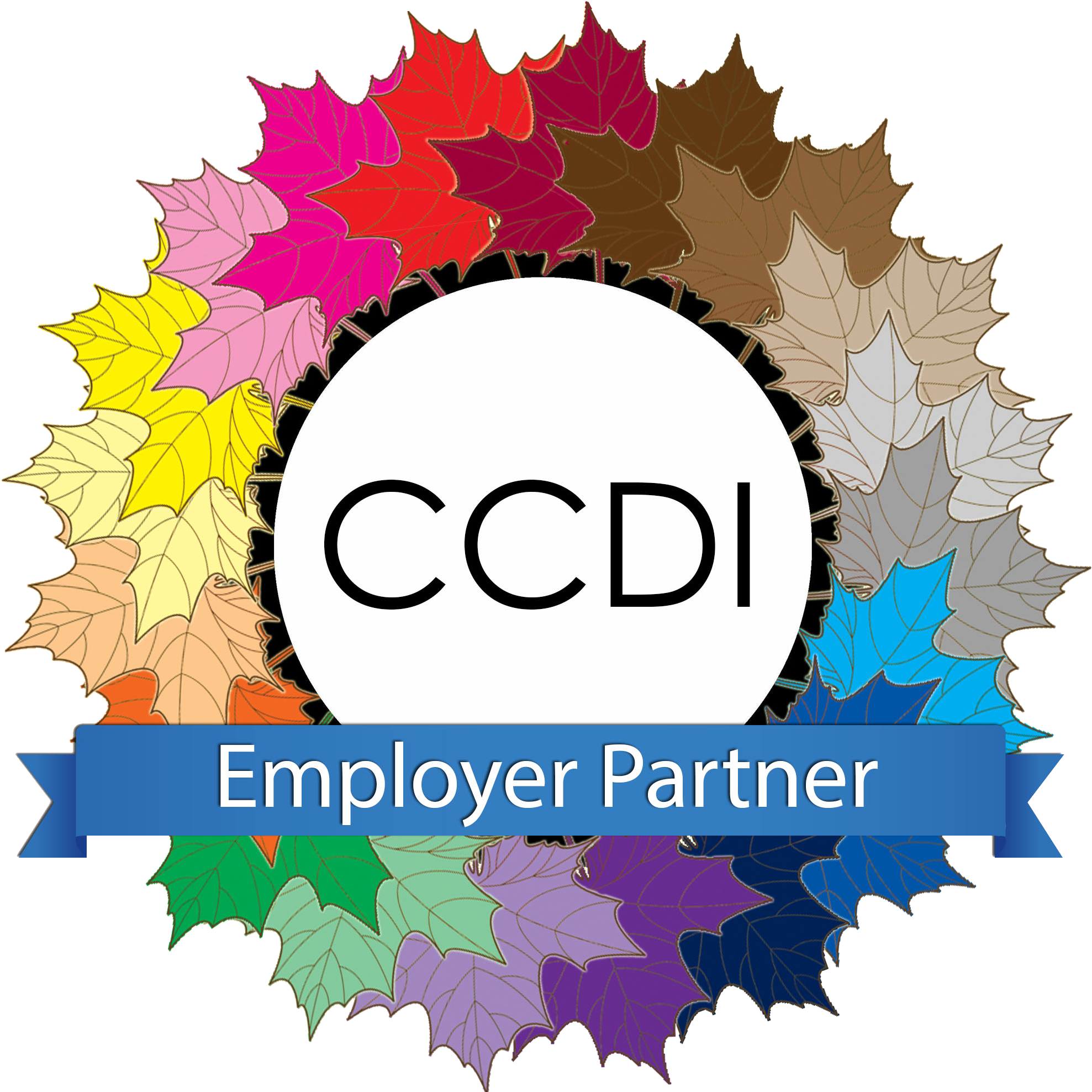Canadian Centre For Diversity And Inclusion Employer - Canadian Centre For Diversity And Inclusion (1996x1992)