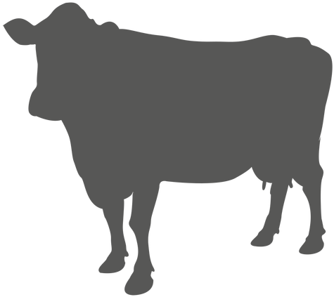 Animal Cow Free Png Transparent Background Images Free - Cow Silhouette Png (512x512)