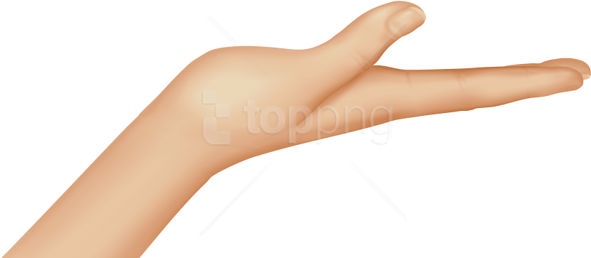 Free Png Download Palm Flat Of Hand Clipart Png Photo - Flat Palm (850x372)
