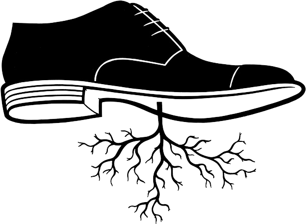 Tishani Doshi - Hamish Hamilton Five Dials (712x600)