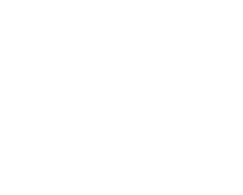 Wood Duck Silhouette At Getdrawings - Duck Silhouette White (1024x821)
