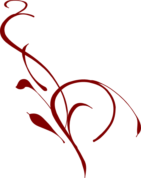 Skin Care Beauty Logo (474x596)
