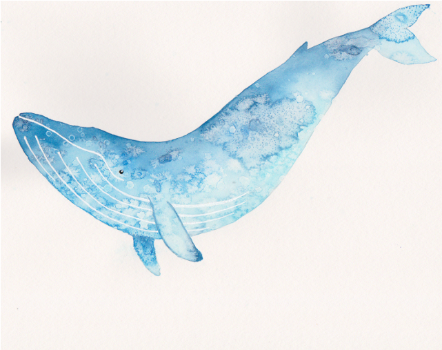 Blue Whale Art - Watercolor Blue Whale (640x640)