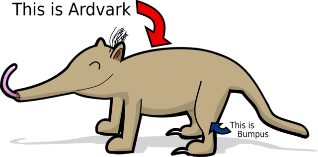 320 × 159 Pixels - Aardvark Cartoon Png (640x317)