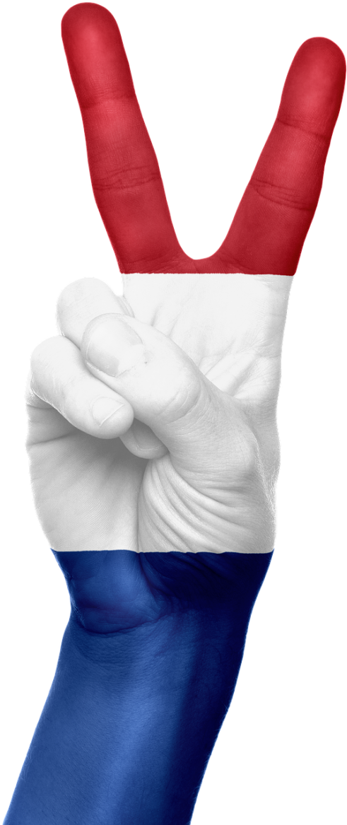 Holland Flag Transparent Png (500x1170)