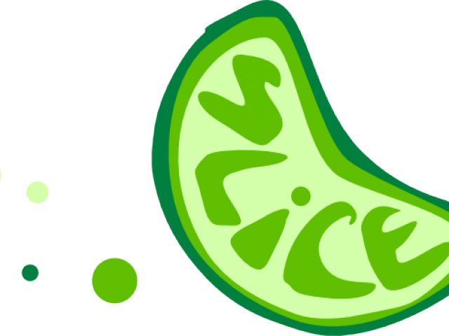Lime Clipart Sliced - Lime Clipart Sliced (640x480)