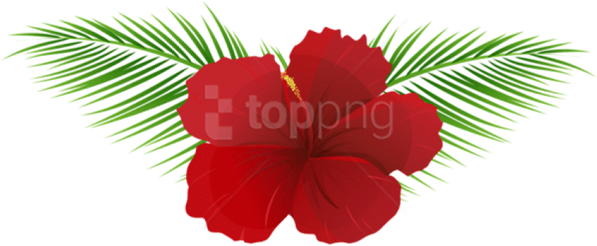Free Png Download Exotic Flower Transparent Png Images - Flowers Hd Png (850x357)