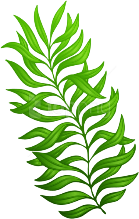 Download Exotic Green Plant Clipart Png Photo - Plant Clip Art Png (480x733)