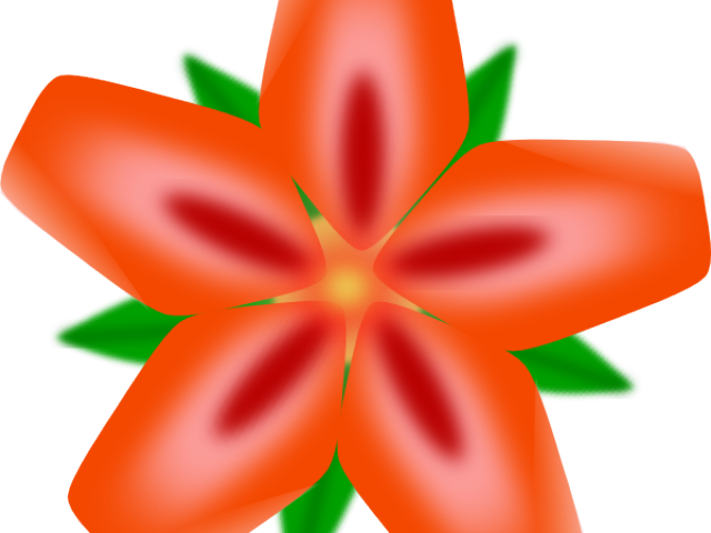 Exotic Clipart Mexican Flower - Hawaiian Flowers Clip Art (640x480)