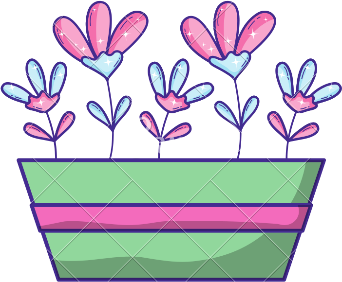 Exotic Flowers Natural Inside Plantpot Design - Exotic Flowers Natural Inside Plantpot Design (800x800)