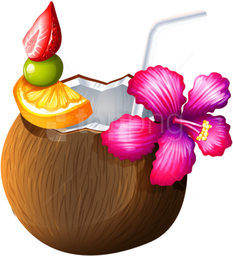 Free Png Download Exotic Coconut Cocktail Clipart Png - Coconut Drink Clipart Png (480x512)