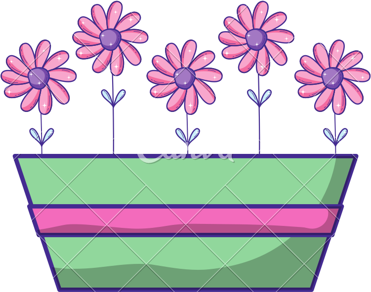 Natural Flowers Exotic Inside Plantpot Style - Chrysanths (800x800)