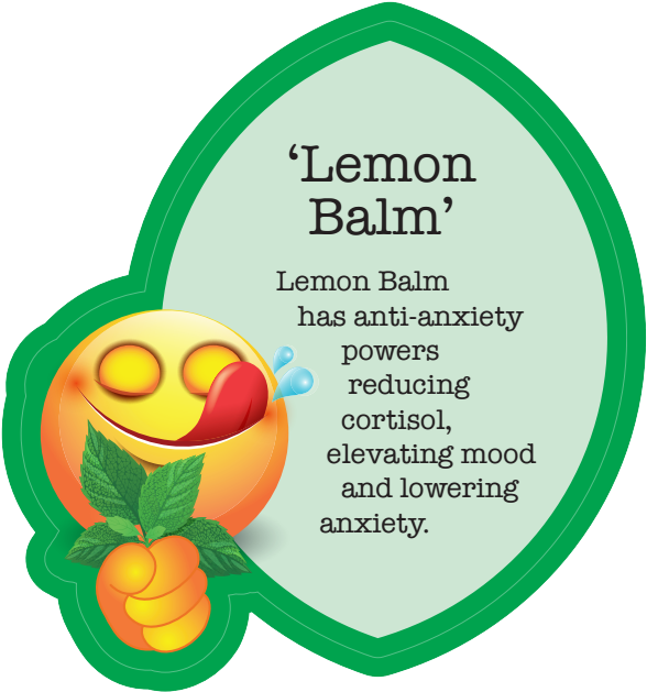 Lemon Balm Sign Pdf Icon - Lemon Balm Sign Pdf Icon (666x691)