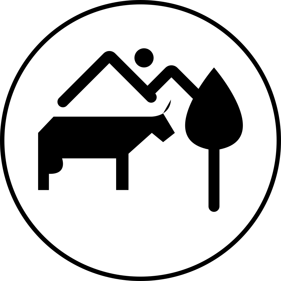 Show Garden B Comments - Gesundes Frühstück (980x980)