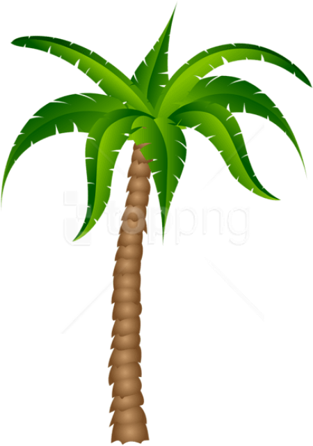 Free Png Download Palm Tree Transparent Picture Png - Palm Tree With No Background (480x648)