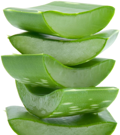 Aloe Clipart Transparent Background - Whamisa Organic Flowers Olive Leaf Mist 80ml (640x480)