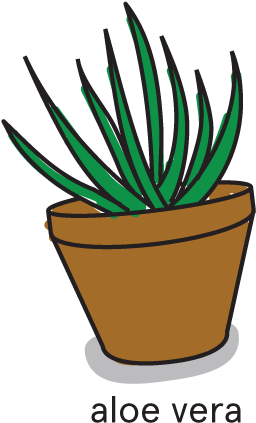 Floyd Plant Life - Flowerpot (488x499)