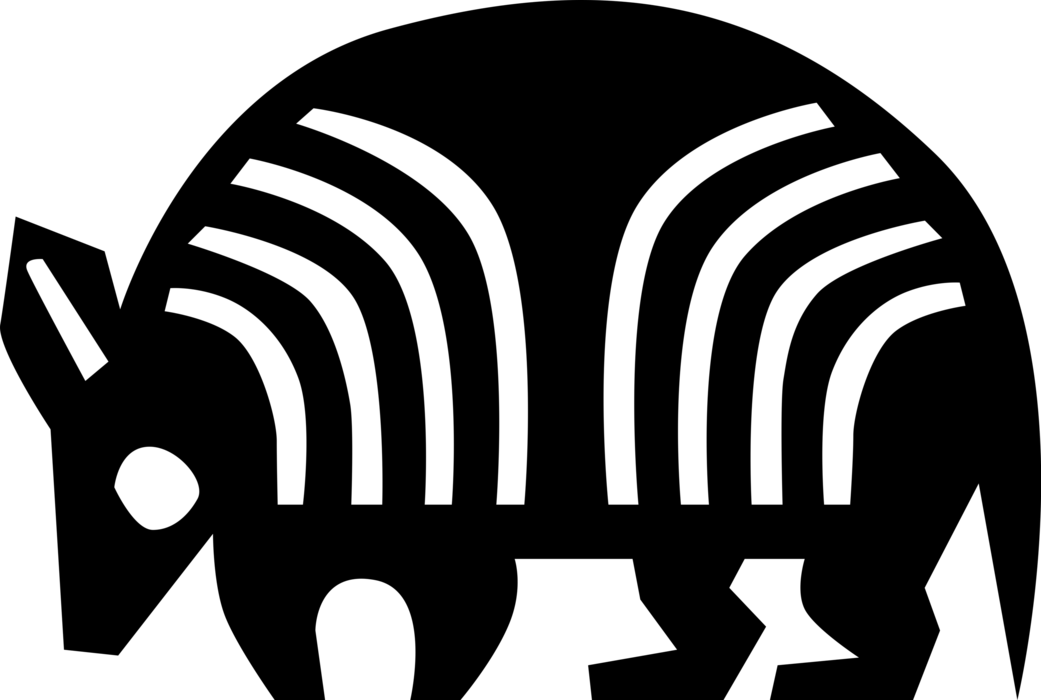 Vector Illustration Of Armadillo "little Armoured One" - Vector Illustration Of Armadillo "little Armoured One" (1041x700)