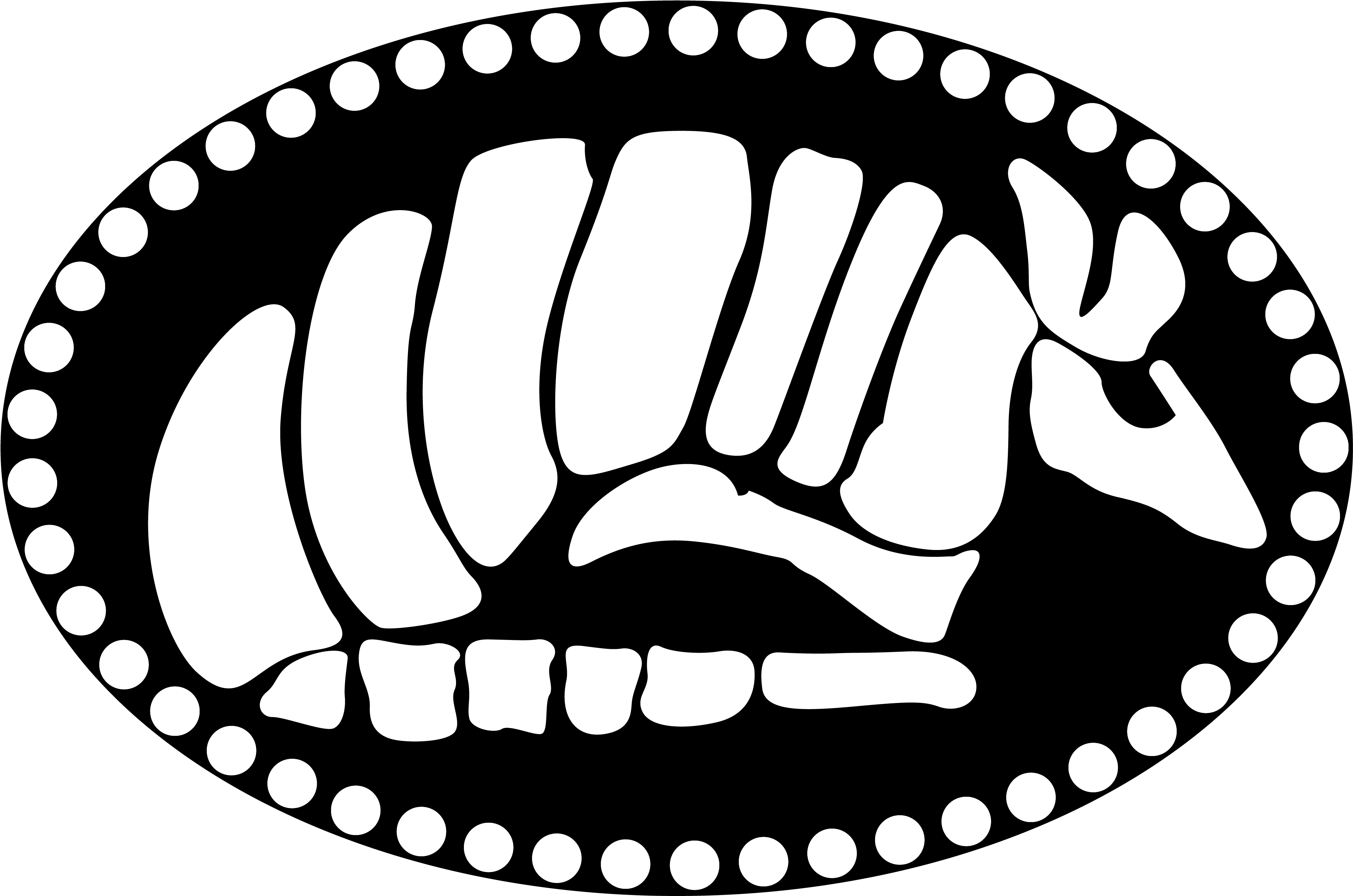 Welcome To Blind Armadillo Guitars - Elementary Avid Avid Bulletin Board (4251x2981)