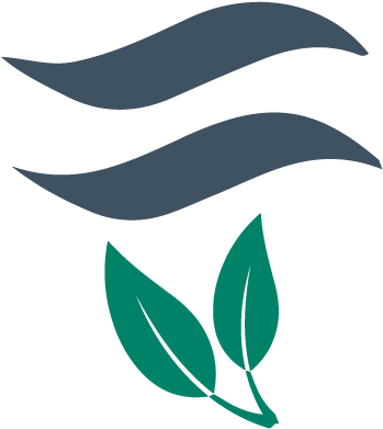 Most Green Teas Are Rolled To Release Their Aromatic - Most Green Teas Are Rolled To Release Their Aromatic (501x501)