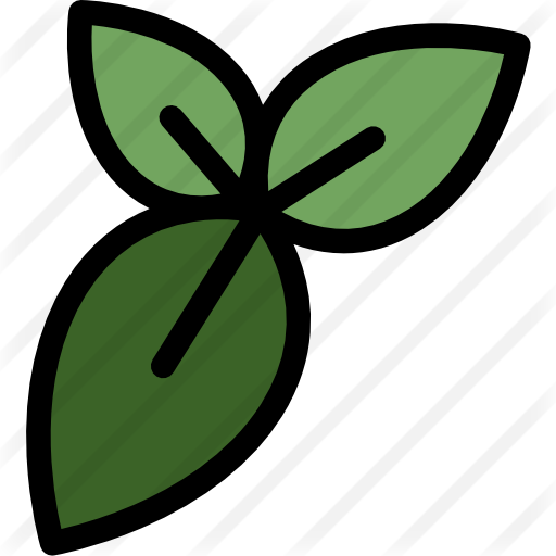 Green Tea Free Icon - Green Tea Free Icon (512x512)