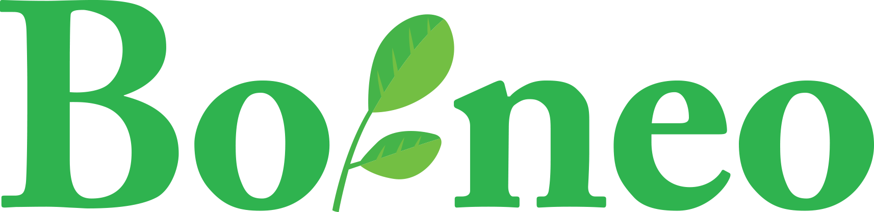 Borneo Moringa Herbal Tea - Borneo Moringa Herbal Tea (1714x416)