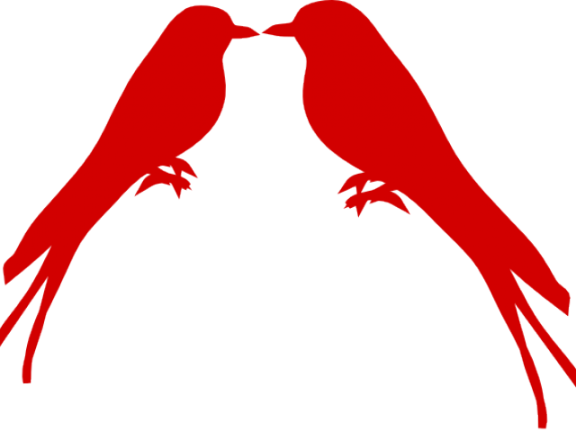Love Birds Clipart Branch - Parrot (640x480)