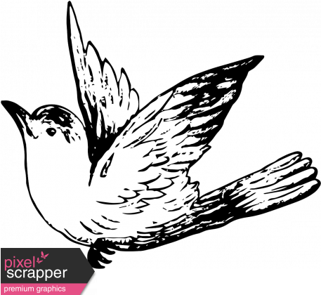 456 X 456 1 - House Sparrow (456x456)