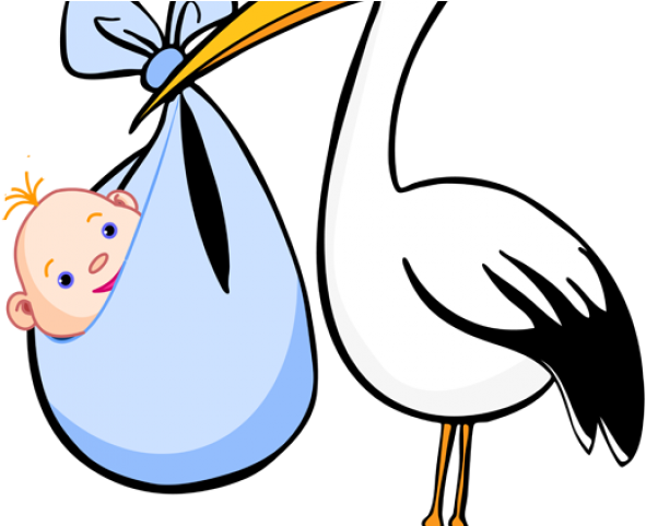 Stork Clipart Baby News - Dibujo Cigueña Con Bebe (640x480)
