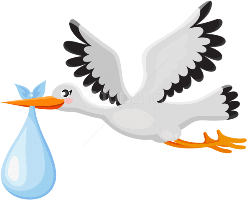 Free Png Download Stork With Baby Clipart Png Photo - Clip Art (850x688)