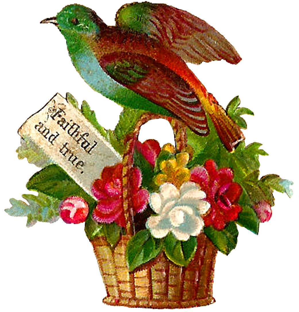 Each Little Bird Perched On The Flower Baskets Are - Illustration (1041x1086)