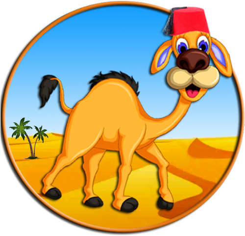 Hyper Morocco Tours Is A Local Tour Company Based In - Beach (500x500)