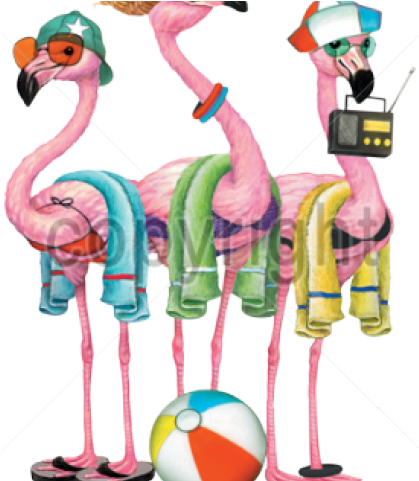 Flamingo Clipart Beach - Flamingo (640x480)