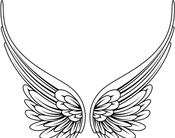 Angel Wing Clipart Png (640x480)