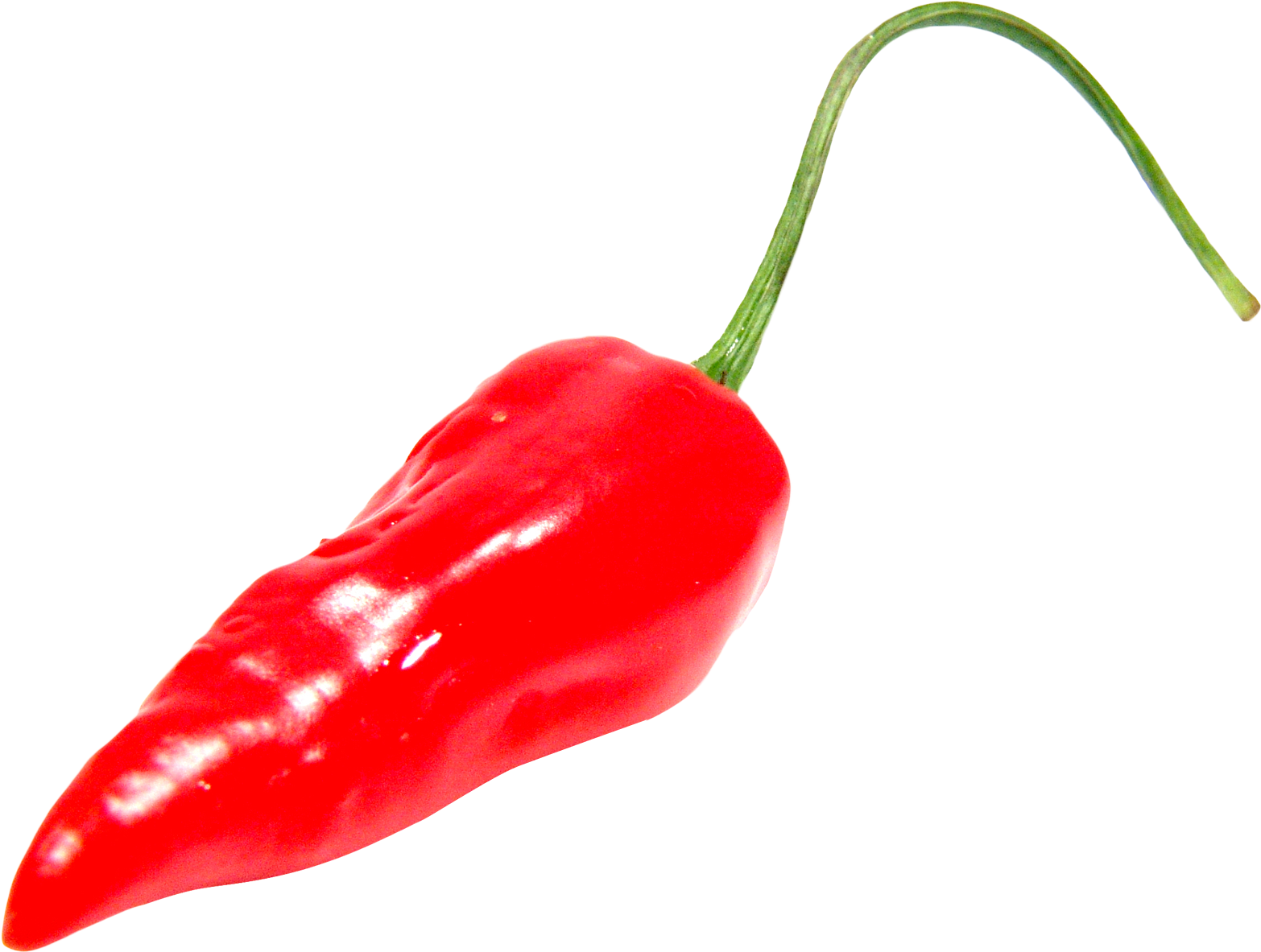 Chili Pepper Transparent - Red Hot Pepper Png (1736x1308)