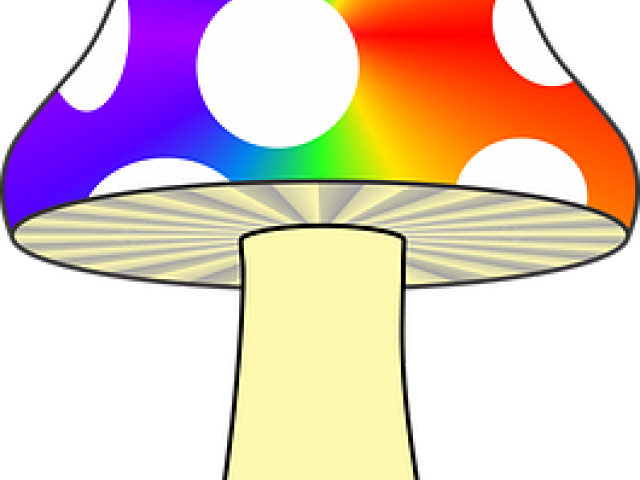 Gnome Clipart Colorful Mushroom - Hongos Alucinógenos Png (640x480)