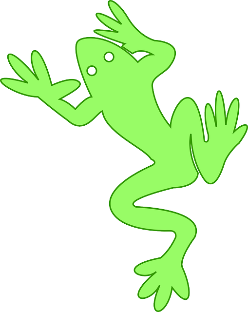Firefly Stock Vectors And Illustrations - Frog (509x640)