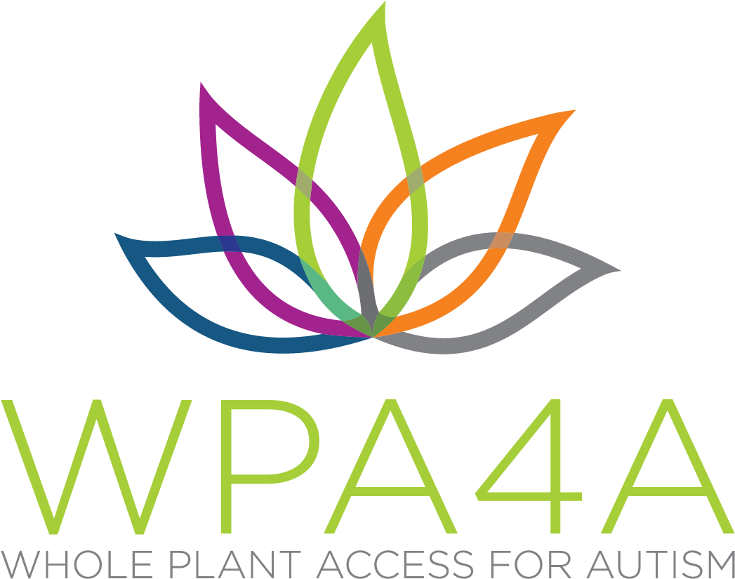 User Email * - Wpa4a (1262x974)