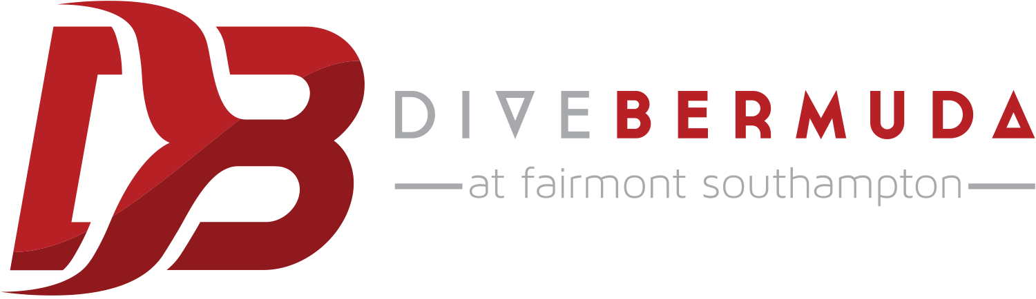 Dive Bermuda At Fairmont Southampton - Associated Foods Salt Lake City (1500x434)