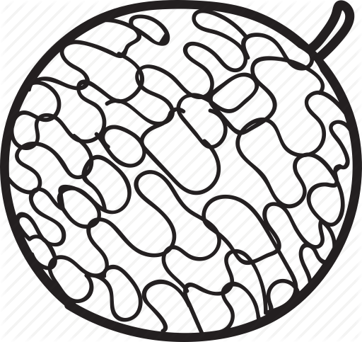 Clip Art Royalty Free Library Fruit Hand Drawn By Thittaya - Wine Folly Magnum Edition The Master Guide (512x483)